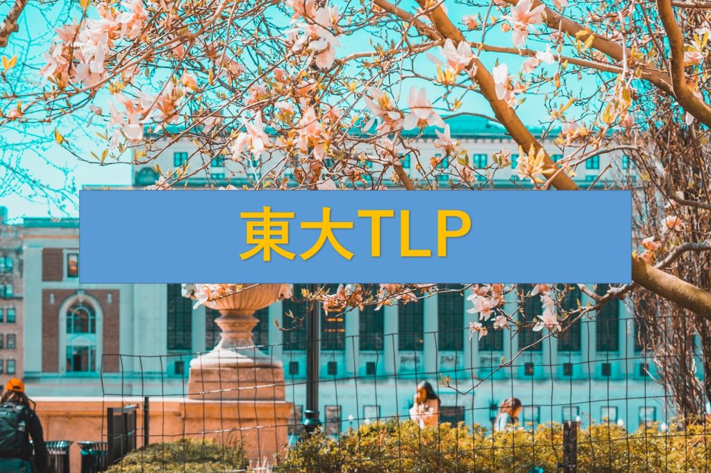 東大tlpの内容と実態とは 英強の巣窟 スタディブログ